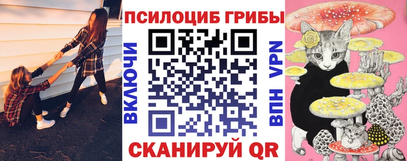 Псилоцибиновые грибы MAGIC MUSHROOMS  сколько стоит  Карабулак 